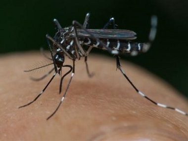 小塘除四害中心常用的灭蚊子的办法有哪些
