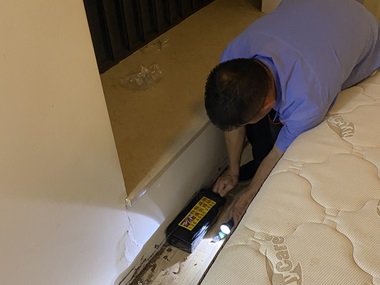 盐步专业治白蚁公司白蚁会在家里侵害骚扰怎么办