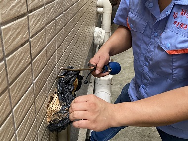 佛山白蚁备案中心房屋建筑灭治白蚁危害的方法